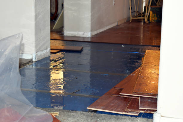 Professional Burst Pipe Cleanup technician working in Lyndeborough, NH